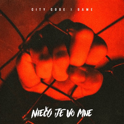 Niečo je vo mne (feat. Dame) - Single