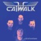 Coming out of Nowhere - CATWALK lyrics