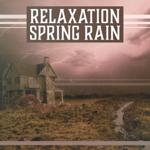 Relaxation Spring Rain: Better Sleep, Absolute Soothing Music, Sounds of Nature, Rainy Atmosphere, Take a Nap, Meditation & Yoga, Tranquil Mood