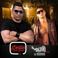 Pediu Vai Levar (feat. Mc Andinho) - Single - Dj Magrão