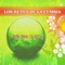 Baila Esta Cumbia - Los Reyes de la Cumbia lyrics