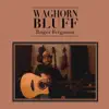 Roger Ferguson - Little Wing