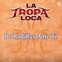 La Tropa Loca - De Rodillas Ante Ti