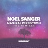 Natural Pefection (The Remixes) - Single