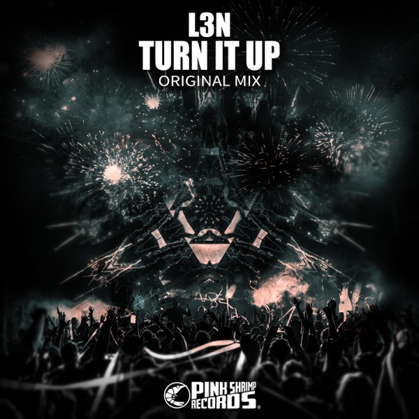 Turn It Up - Single