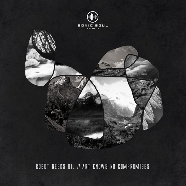 Art Knows No Compromises - Single