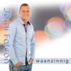 waanzinnig