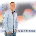 Waanzinnig