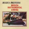 Maya Andina - Cordillera