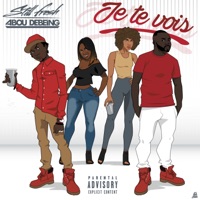 Je te vois (feat. Abou Debeing) - Single - Still Fresh