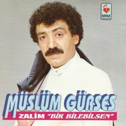 Müslüm Gürses - Sen De Bizdensin