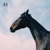 48 (feat. Jay Prince) - Single, 2017