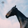 48 (feat. Jay Prince) - Single