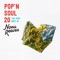 POP'N SOUL 20〜The Very Best of NONA REEVES ジャケット写真