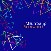 I Miss You (Radio Edit) artwork