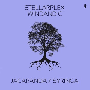 Jacaranda / Syringa - Single