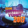 EDM Festival Tunes 2017, 2017