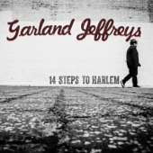 14 Steps to Harlem cover