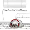 Armchair - รักแท้