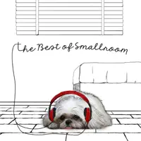 รักแท้ — Armchair