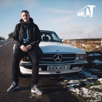 Blackjack21 (feat. Andrea Martin) - Single - Toddla T