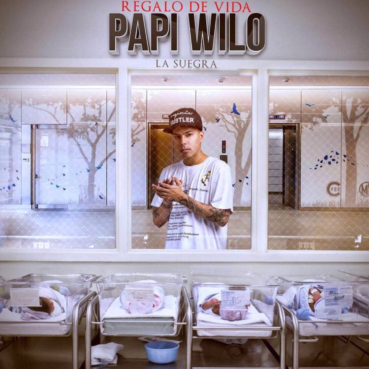 Regalo de Vida (La Suegra) - Single de Papi Wilo en Apple Music