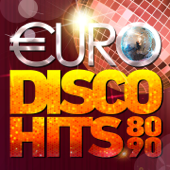Various Artists - Euro Disco Hits 80-90's