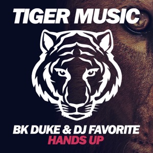Hands Up - Single