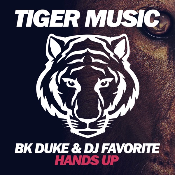 Hands Up - Single