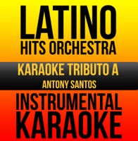 Instrumental Karaoke Series: Antony Santos (Karaoke Version) - Latino Hits Orchestra