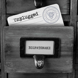 Unplugged (feat. Anders Blichfeldt, Asger Steenholdt, Pete Repete, Jens Fredslund &amp; Morten Jay) - Big Fat Snake Cover Art