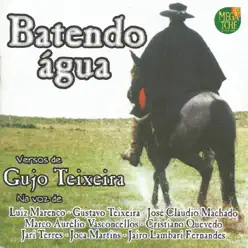 Batendo Água - Gujo Teixeira