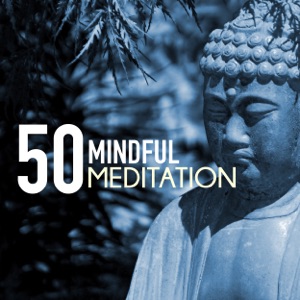 Mindful Meditation 50 - Meditate & Keep Calm, Free Your Mind from Anxiety and Stress