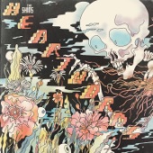 The Shins - The Fear