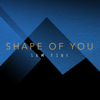 Shape of You - Sam Tsui