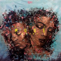 The Muse - Samsonyte