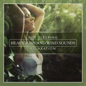 Heavy Rain and Wind Sounds for Sleeping & Relaxation artwork