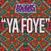 MAGIC SYSTEM