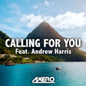 Calling For You (feat. Andrew Harris) artwork