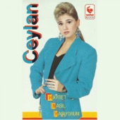 Çağır Geleyim artwork