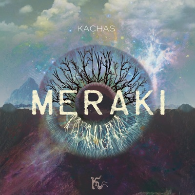Meraki