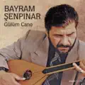 BAHARSIZ SENELER