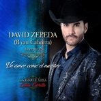 Un Amor Como El Nuestro (La Doble Vida de Estela Carrillo) - Single