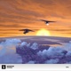 Sunrise Single