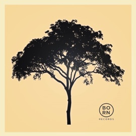 For Miles & Miles MitiS