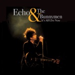 Echo & The Bunnymen - Heroin (Live, 1983)