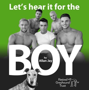 Let's Hear It For the Boy - Single