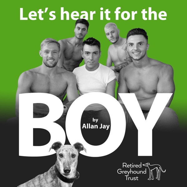 Let's Hear It For the Boy - Single