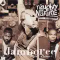 Jamboree (feat. Zhané)