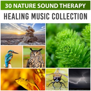 30 Nature Sound Therapy: Healing Music Collection – Sea Waves, Rains, Singing Birds, Chirping Crickets and Frogs for Deep Sleep, Relaxation & Meditation